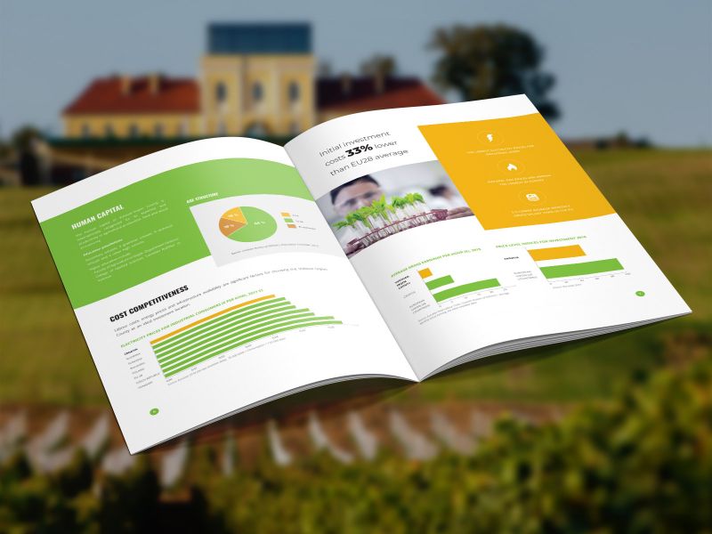 Brošura: Invest in Vukovar-Srijem County